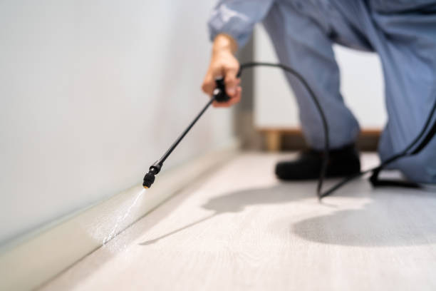 Licensed Termite Control service in Jay County County, IN - Nex Pest Control