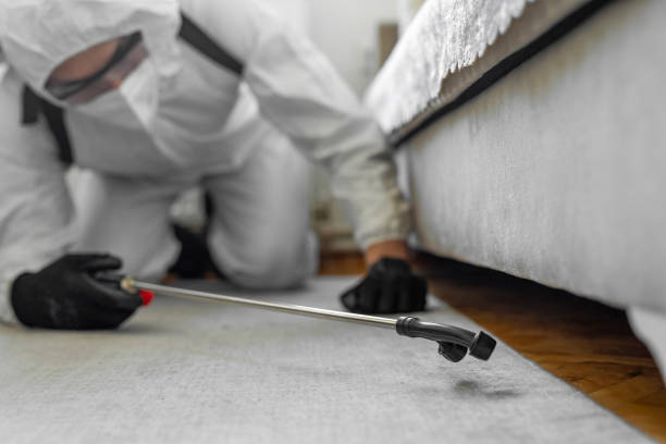 Professional Termite Control technician working in Jay County County, IN